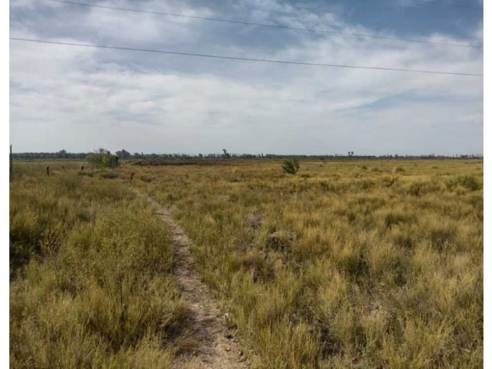 VENDO 12 HECTAREAS SAN RAFAEL MENDOZA - 1