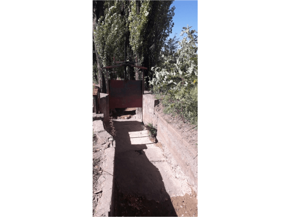 ATENCION IDEAL FEEDLOT, VIÑEDOS, AJOS, PASTURAS, DURAZNOS. - 1