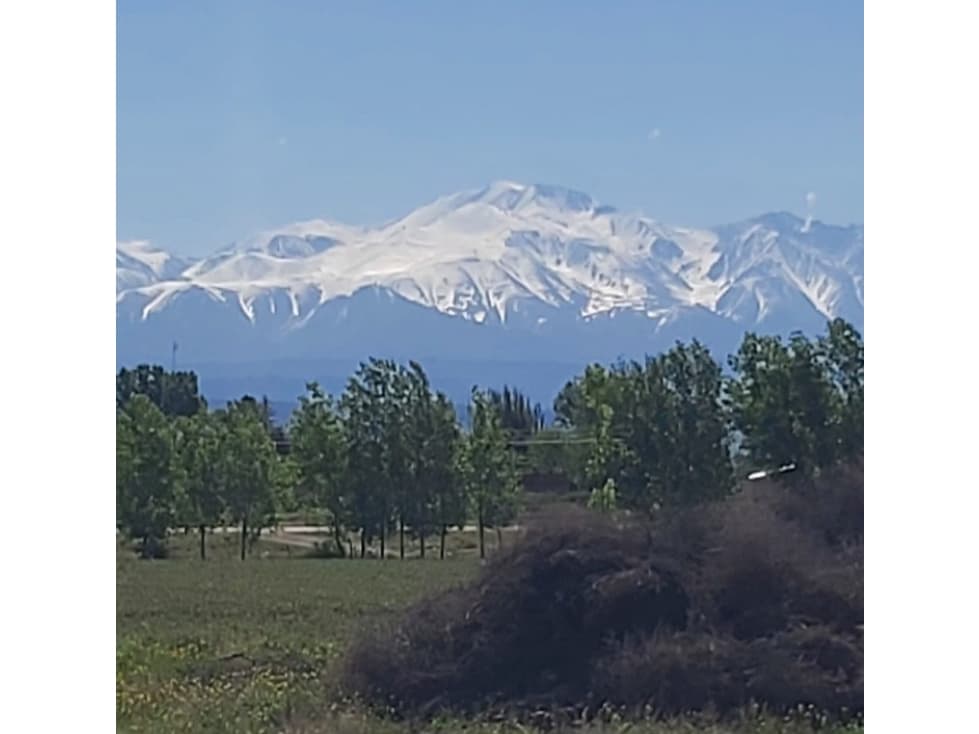 VENTA DE FINCA 13 HAS SOBRE RUTA 40, UGARTECHE - LUJAN DE CUYO - 1