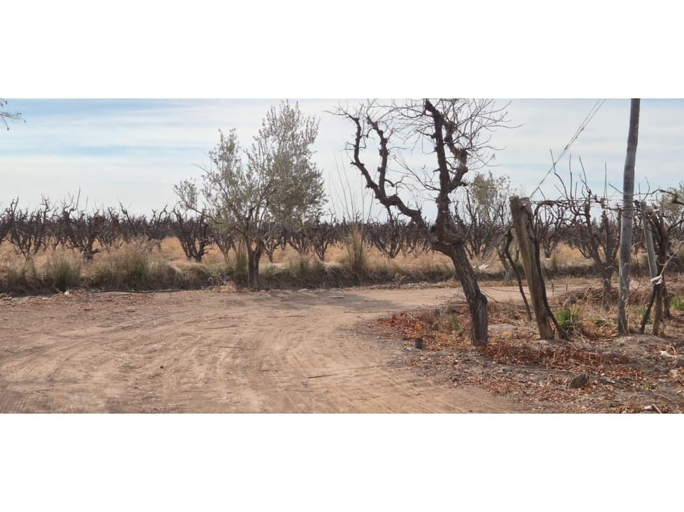 VENTA FINCA DE 72 HAS EN ISLA GRANDE, SAN ROQUE MAIPÚ, MZA - 1