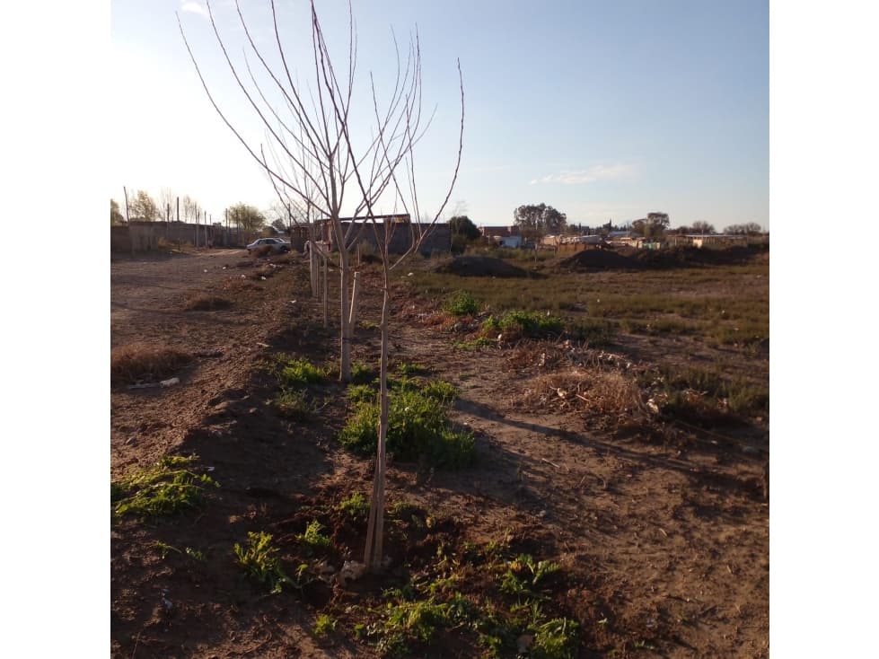 VENDE 2 LOTES CONTIGUOS EN VISTA ALGARROBO EL BORBOLLÓN, LAS HERAS - 1