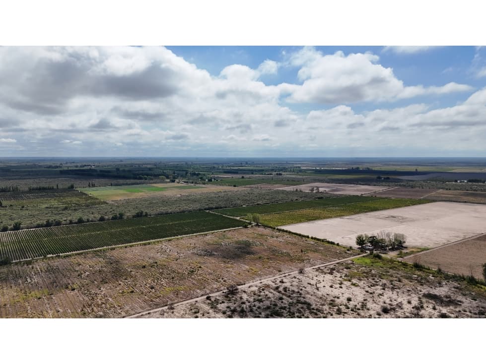 VENTA DE FINCA 40 HAS CALLE LA FLORIDA, EN EL MIRADOR - RIVADAVIA,MZA - 1