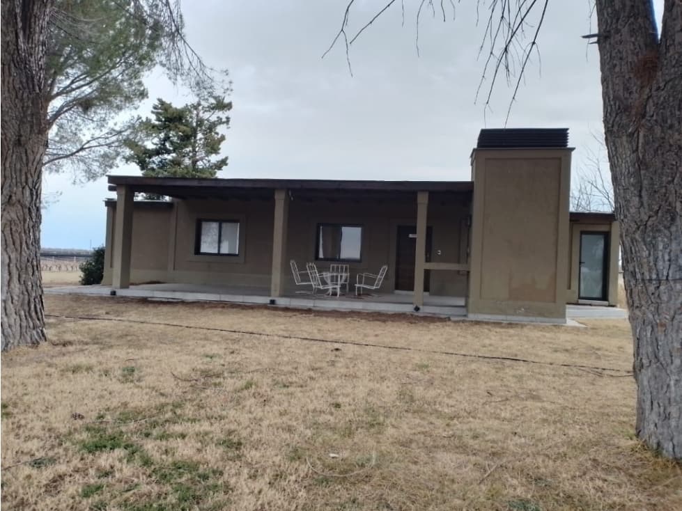 VENTA FINCA EN PRODUCCIÓN 75 HAS EN UGARTECHE- LUJAN DE CUYO, MZA. - 1