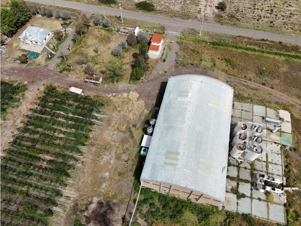 VENTA DE FINCA 176 HAS CON BODEGA - SANTA ROSA, MZA - 1