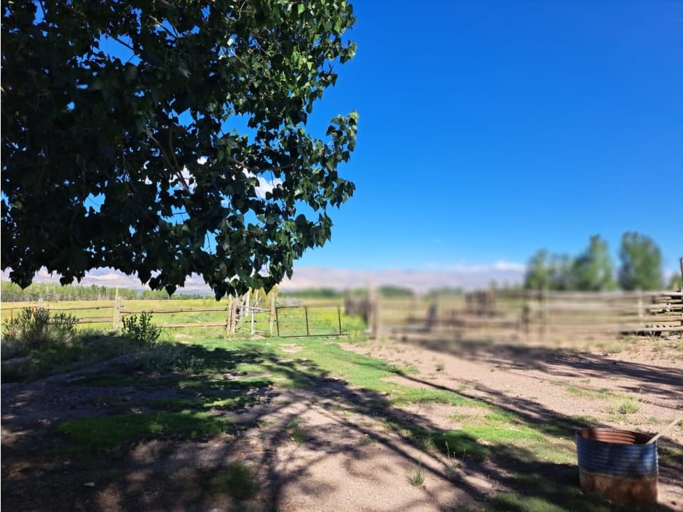 EXCELENTE FINCA DE 19,5 HECTÁREAS SAN ALBERTO, USPALLATA, MENDOZA - 1