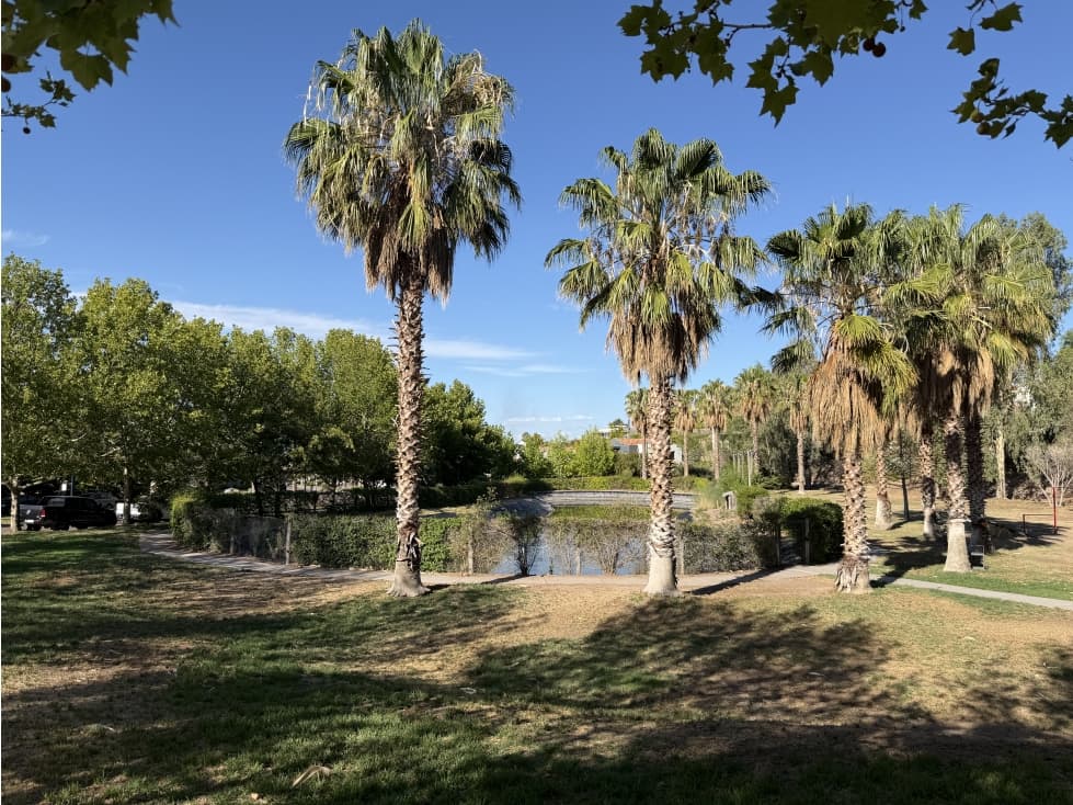 Venta de lote en Palmares - 1