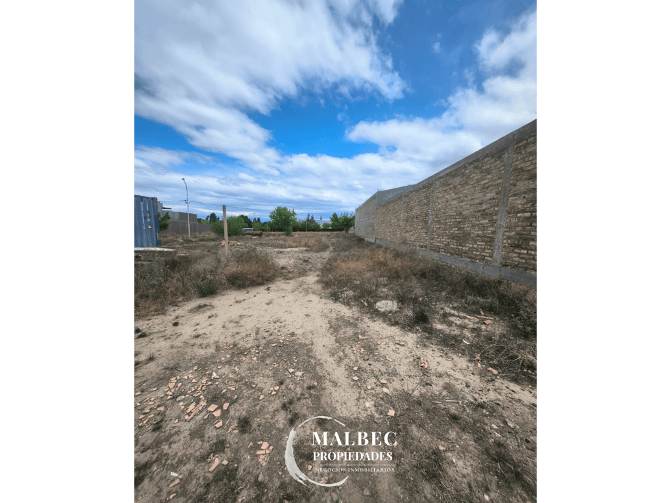 LOTE EN VENTA, TUPUNGATO MENDOZA - 1