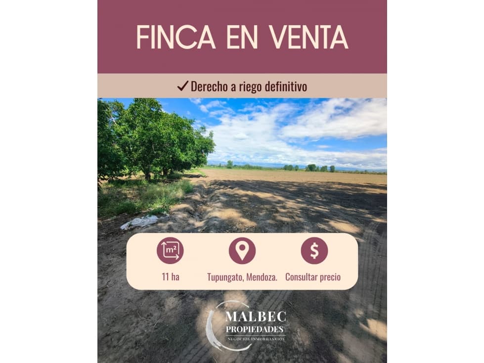 FINCA EN VENTA - 1