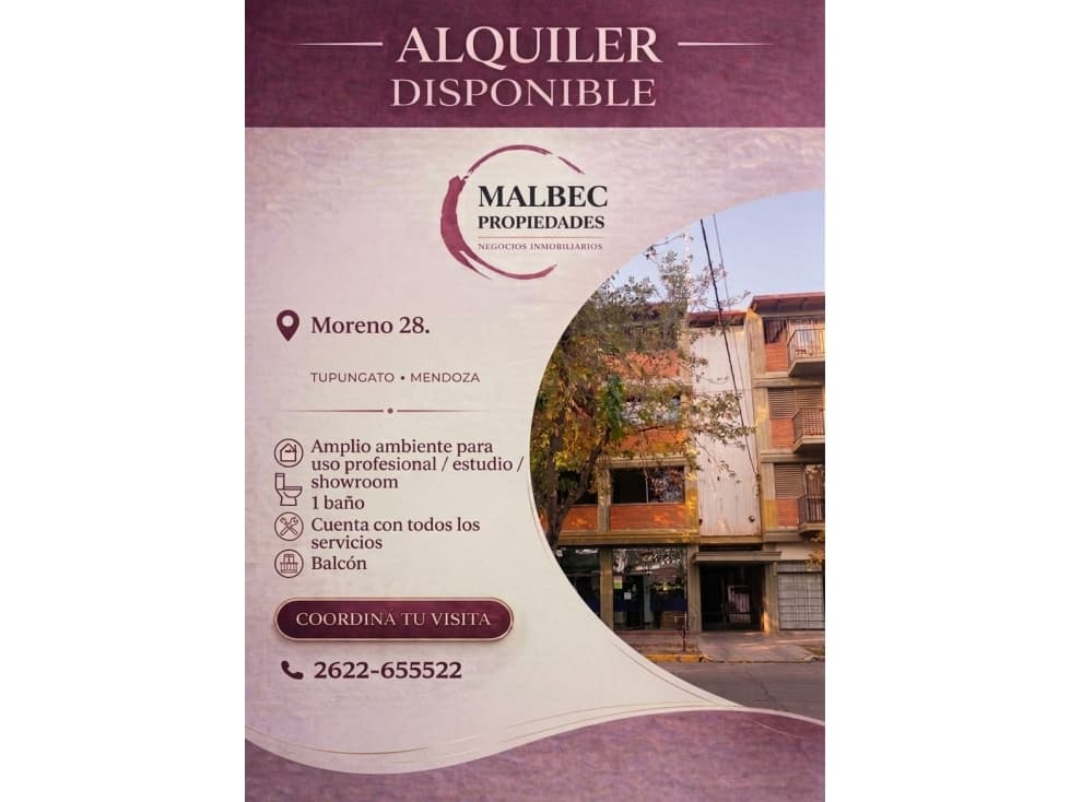 Amplio ambiente para uso Profesional/ Estudio/ Showroom - 1