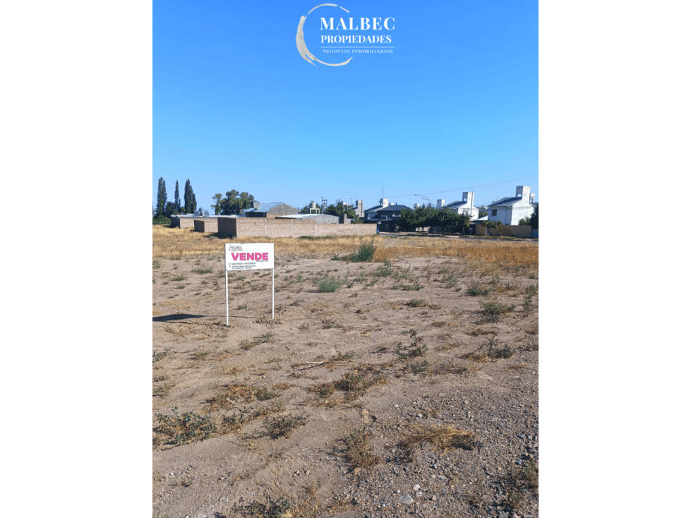 LOTES EN VENTA - TUPUNGATO, MENDOZA - 1