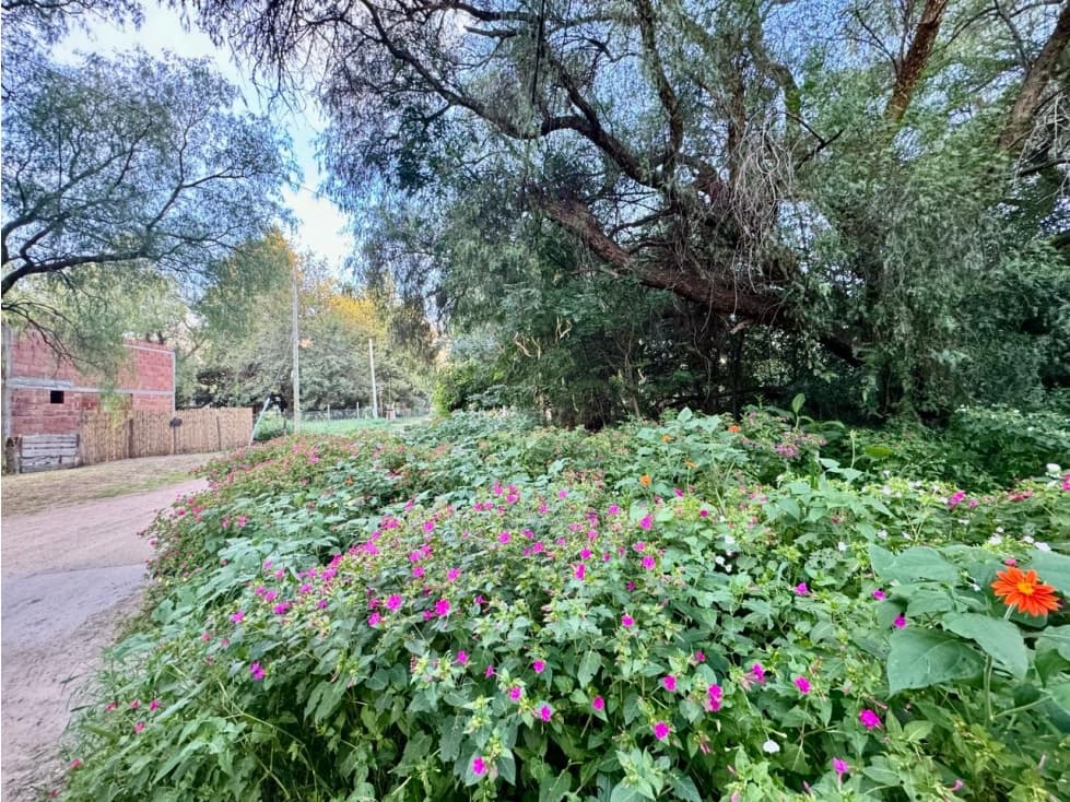 VENTA DE LOTES EN B° LA TOMA, CAPILLA DEL MONTE- CBA - 1