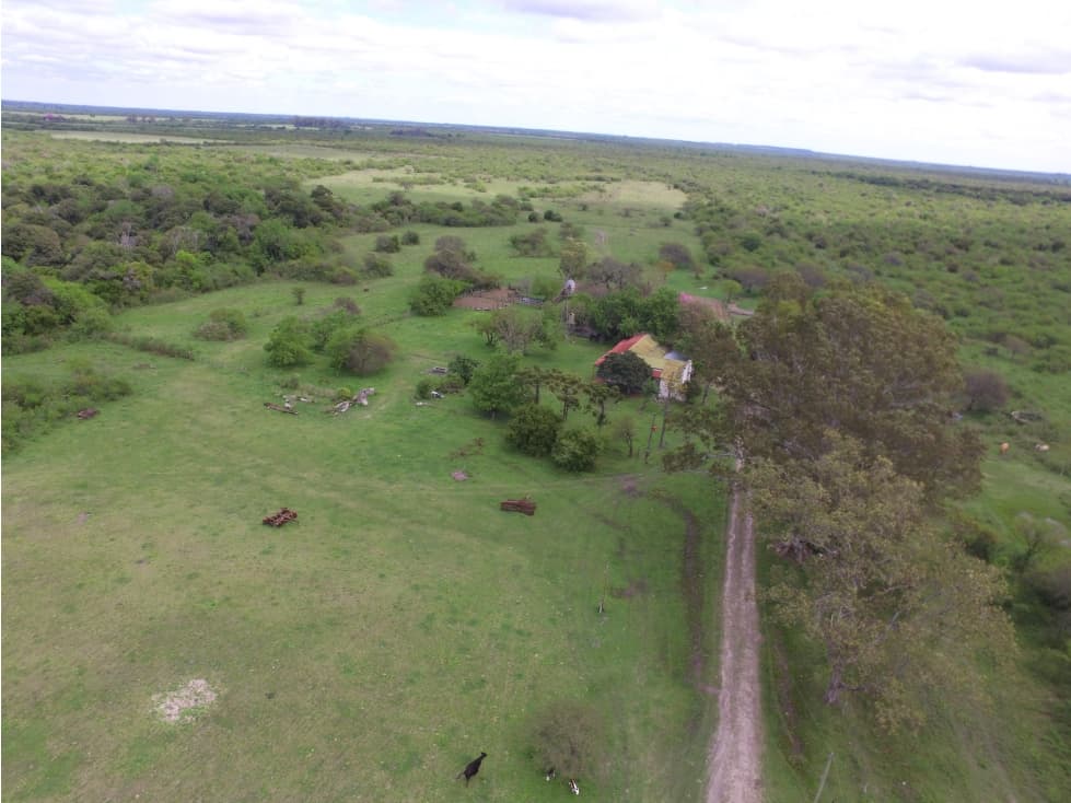 VENTA - CAMPO GANADERO CON CHACRA Y MONTE - SAN GUSTAVO, DTO. LA PAZ - 1
