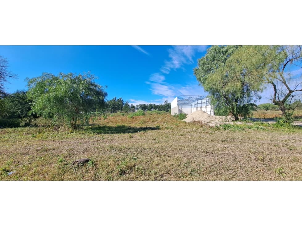 Oportunidad Venta 2 lotes de 500m2 Zona Miguel David - 1