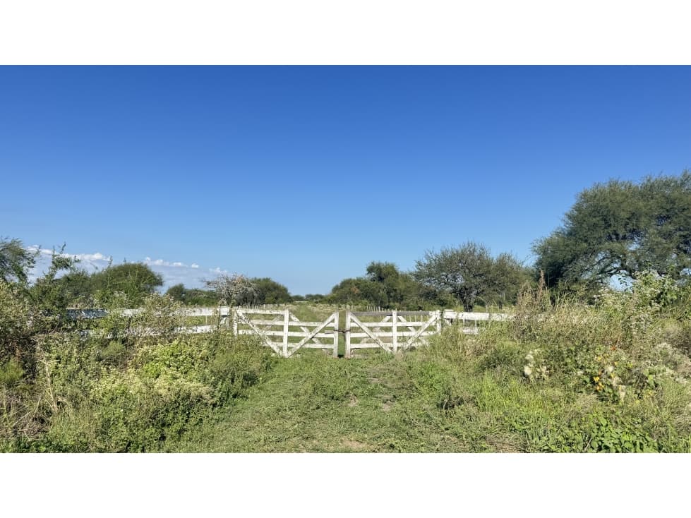 CAMPO GANADERO EN VENTA - 118 HAS- BOVRIL, DPTO LA PAZ - 1