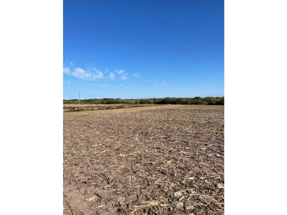 Campo Agricola en Molino Doll- Depto Victoria - 1