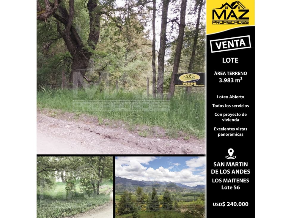 LOTE | LOS MAITENES - Lote 56 - 1