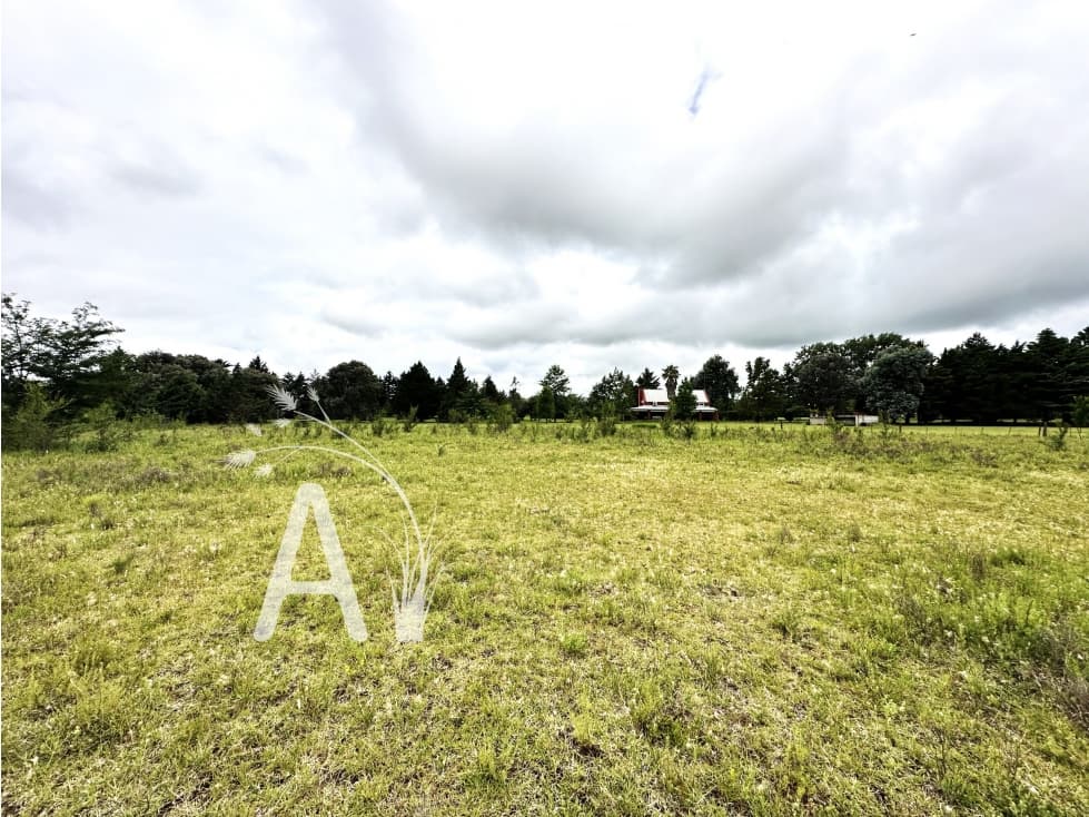 EXCELENTE OPORTUNIDAD - VENDO LOTES DE 1.133 MTS EN LOS REARTES - 1