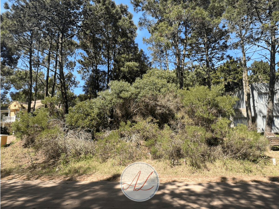 Lote en venta en carilo | Paraiso y tero - 1