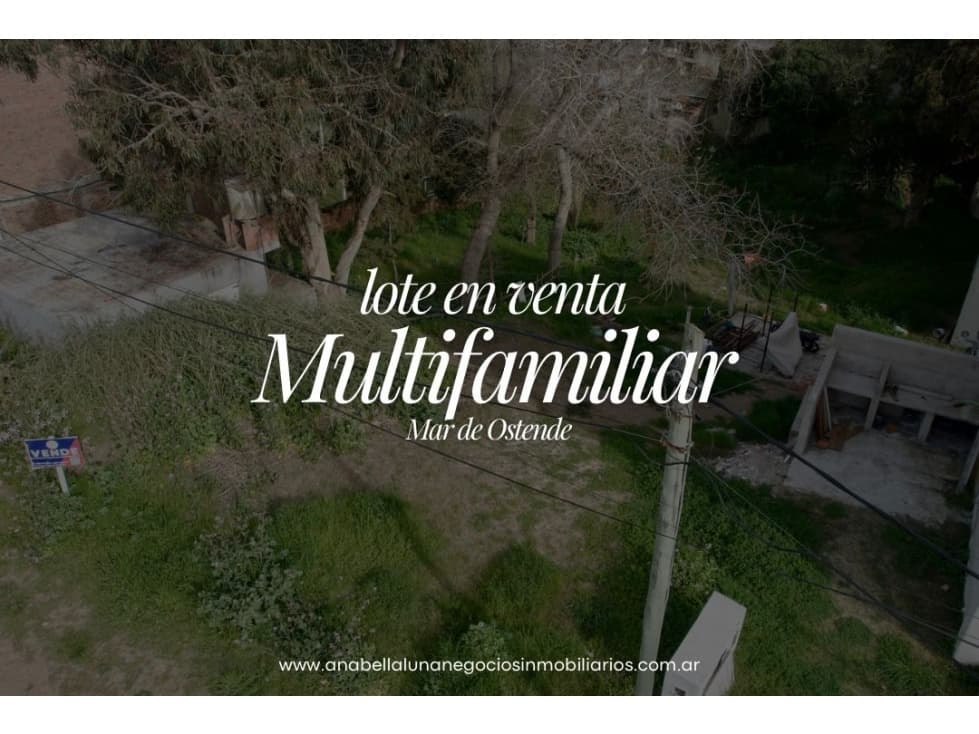 LOTE MULTIFAMILIAR / LEANDRO ALEM AL 1000 - 1