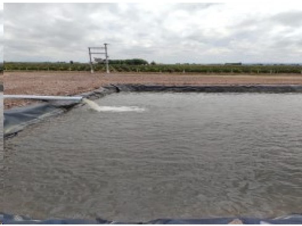 VENDE FINCA DE 86 HECTÁREAS, UBICADAS EN ANCHORIS, TUPUNGATO,MENDOZA - 1