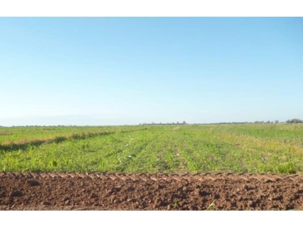 VENDE FINCA DE 886,38 HECTÁREAS, UBICADAS LAVALLE, MENDOZA - 1