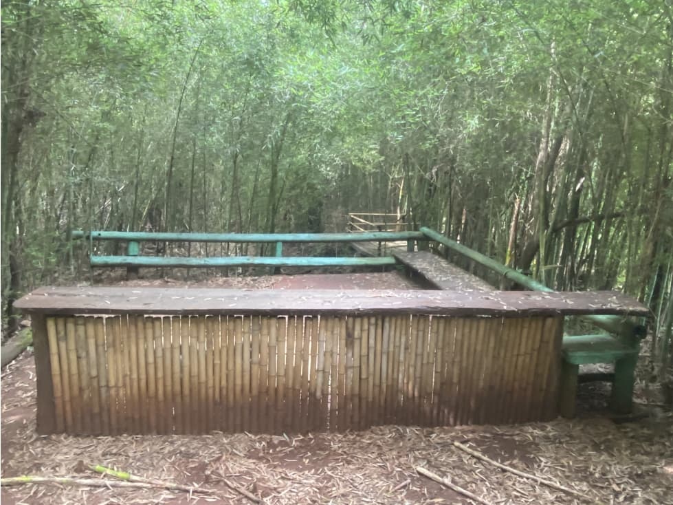 VENDO IMPRESIONANTE GRANJA CON PACU EN POSADAS MNES - 1