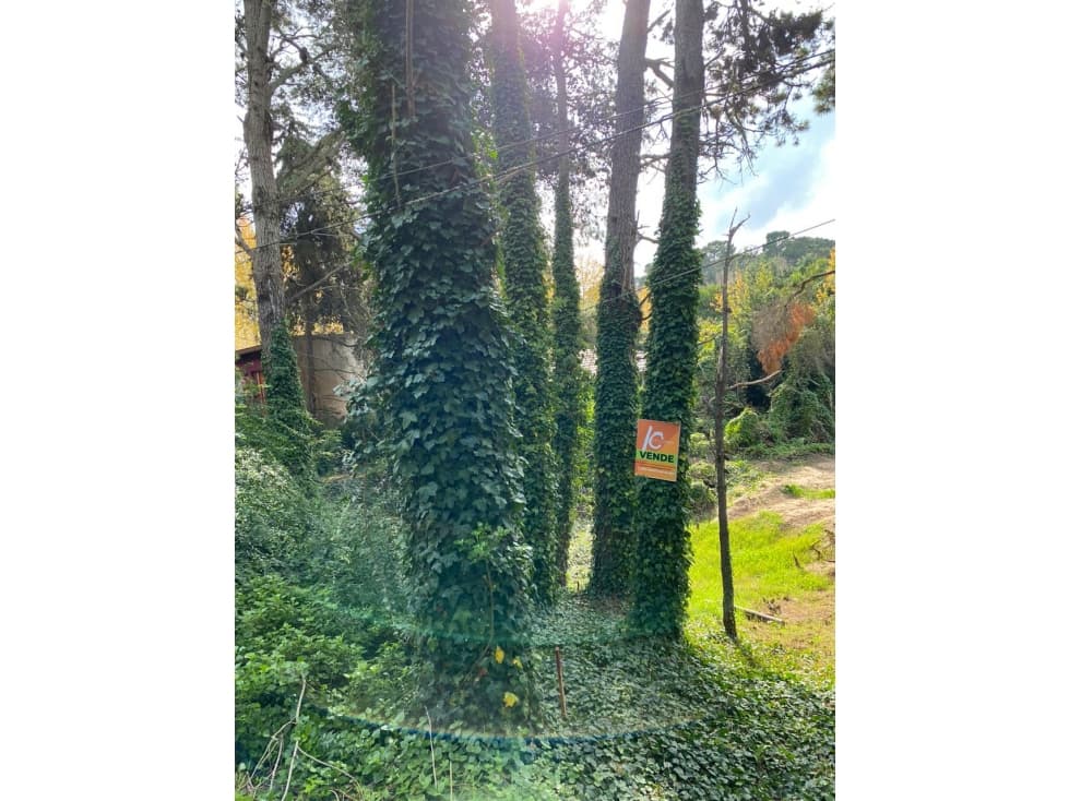 LOTE en mar azul - 1