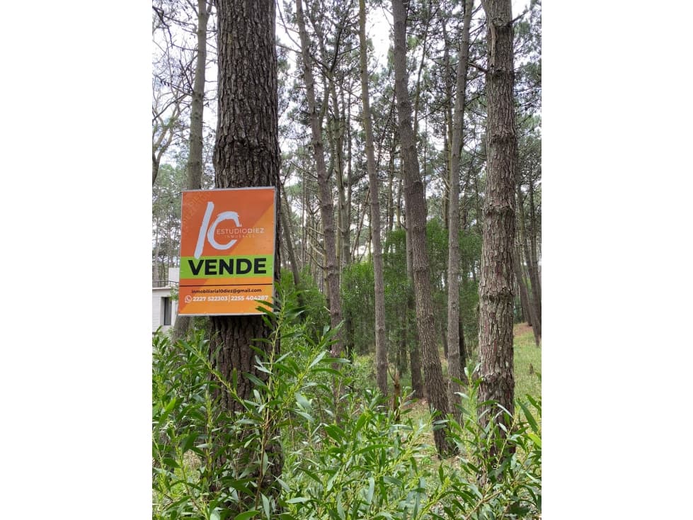 TERRENOS en MAR AZUL. SE VENDEN JUNTOS O POR SEPARADO - 1