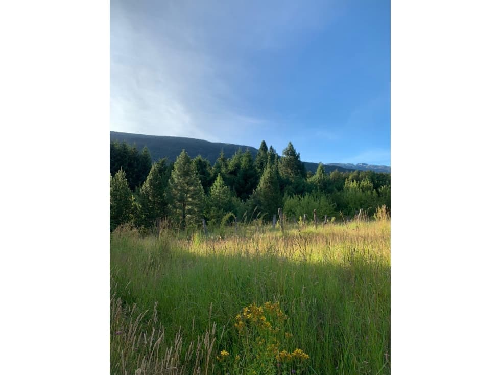 SE ALQUILA TERRENO DE 6.000 M2 EN EL BOLSÓN - 1