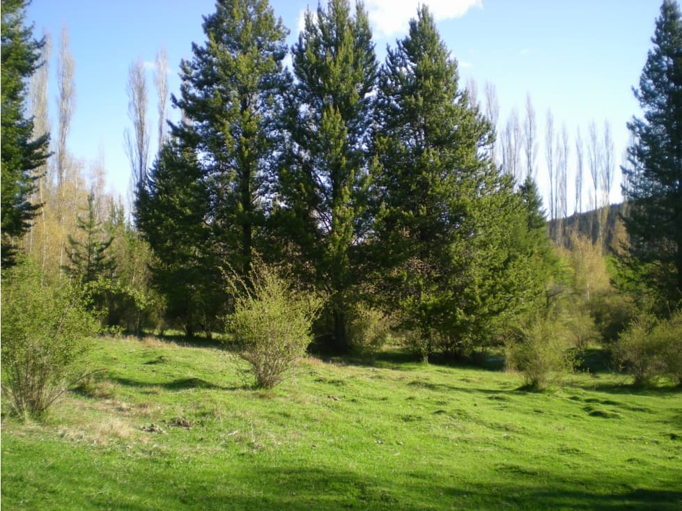 EN VENTA CHACRA EN MALLÍN AHOGADO, EL BOLSÓN - 1