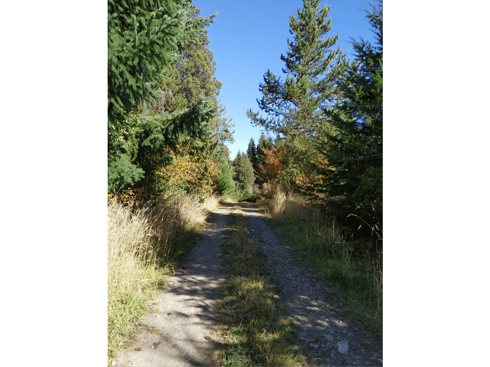 EN VENTA LOTE DE 7.995 M2 EN VILLA TURISMO, EL BOLSON LO-271 - 1