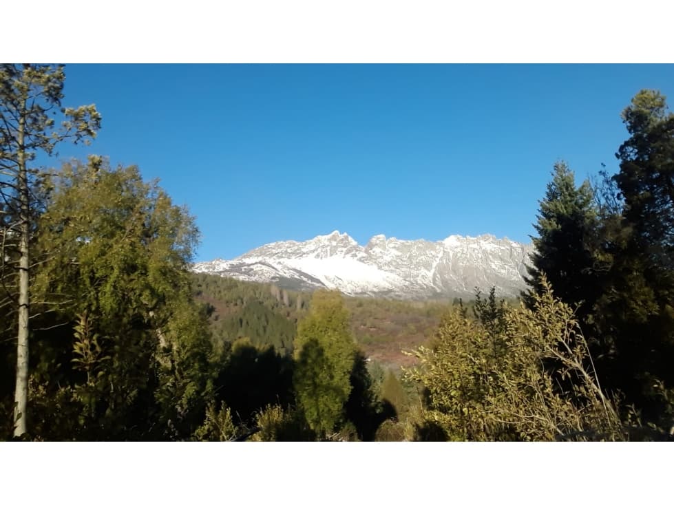 EN VENTA LOTE DE 1.223 M2 EN CERRO AMIGO - EL BOLSÓN - 1