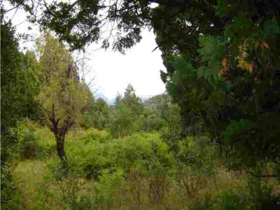 EN VENTA CAMPO DE 154 HECTÁREAS EN EL BOLSÓN CH-100 - 1