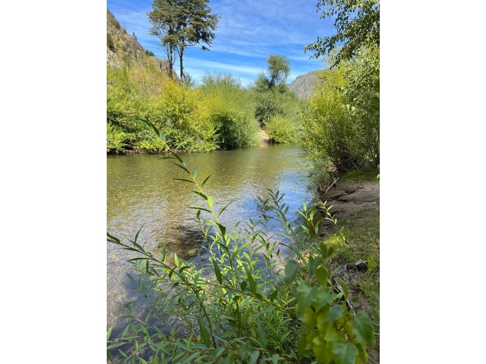 EN VENTA CHACRA DE 6 HA EN EL HOYO, CHUBUT. CH 24 - 1