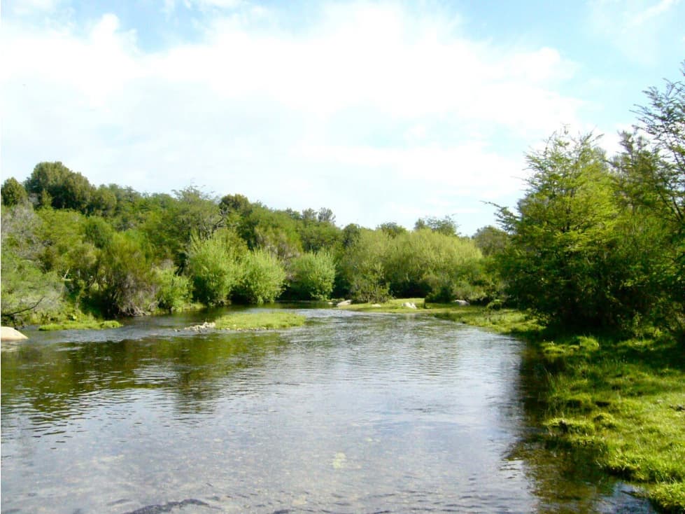 EN VENTA CHACRA DE 2 HECTÁREAS EN EL BOLSÓN CH-134 - 1