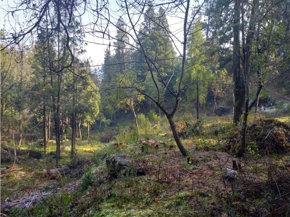 EN VENTA MEDIA HECTAREA EN VILLA TURISMO EL BOLSÓN LO-282 - 1