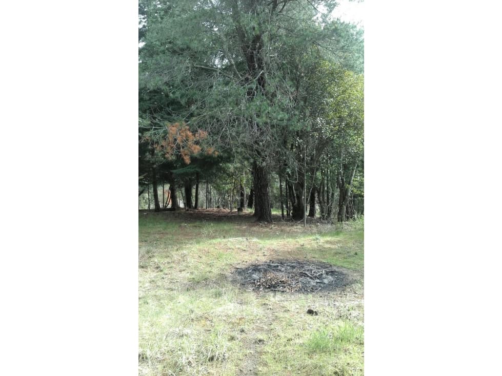 EN VENTA LOTE DE 1500 M2 EN LAGO PUELO LO-219 - 1