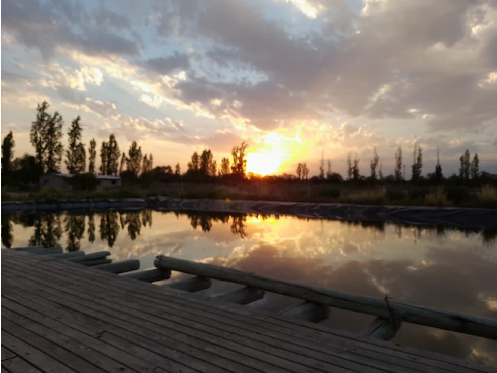 Campo de 3 has ingreso por calle Vargas y Castro Barros Maipu - 1