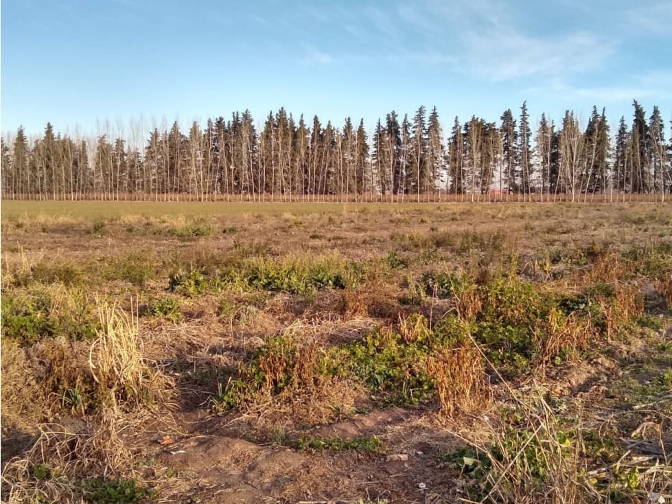 Finca en venta Vista Flores Centro Valle de Uco - 1