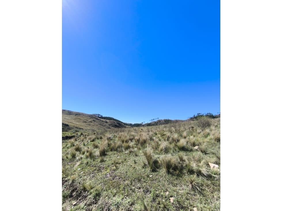 Campo Río de Los Sauces - 1