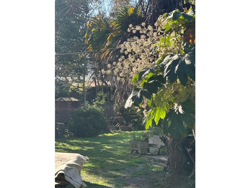 Propiedad en Carlos Keen - 1