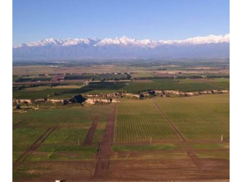 Finca en Venta en Jocolí, Lavalle - Mendoza - Oportunidad Rural 48 Hs - 1