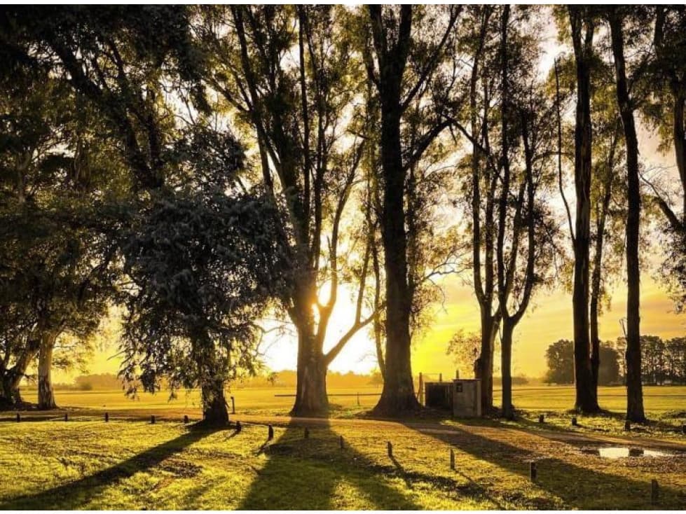 LOTE A LA VENTA EN CHACRAS SAN ANDRES, VILLA RUIZ - 1