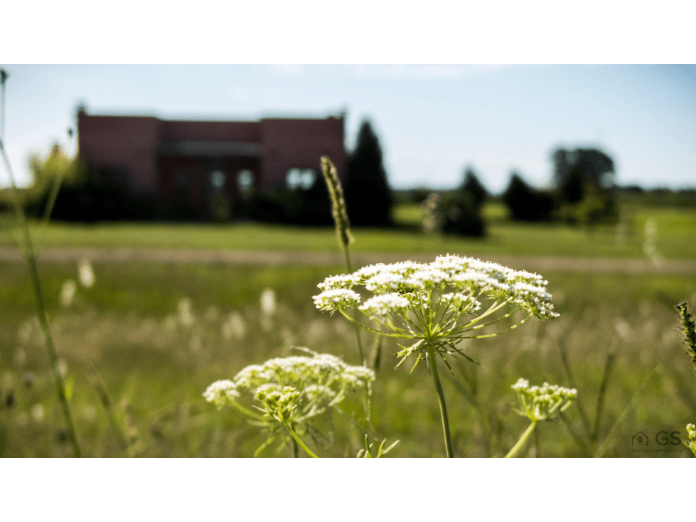 Excelentes lotes internos, Espinillo Golf Club de Campo - 1