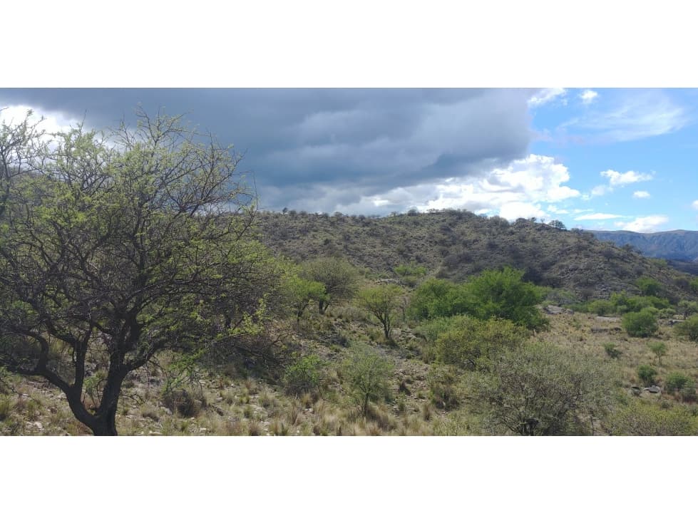 S. FRANCISCO DEL MONTE DE ORO 43 has ( Permutaría) - 1