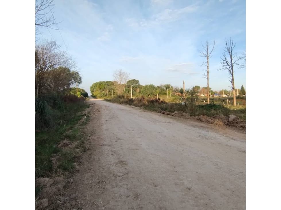 LOTE DE 8000 METROS EN BORGES Y CHURRUARIN - 1