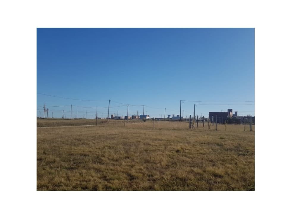 LOTE COLONIA ENSAYO - 1