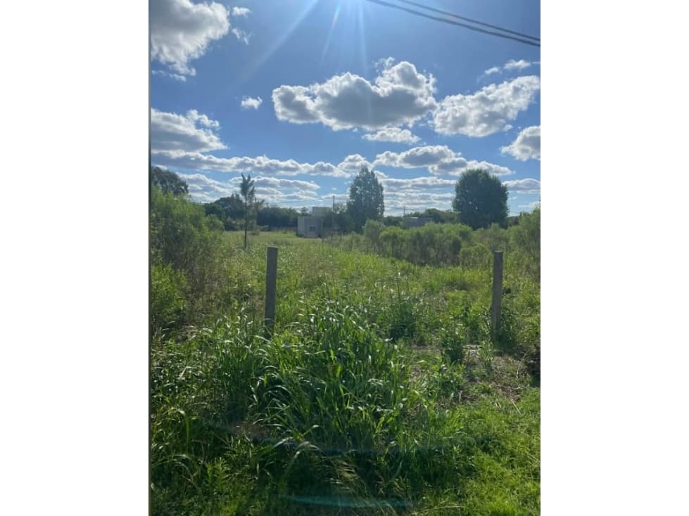 Lote Autodromo de Paraná - 1