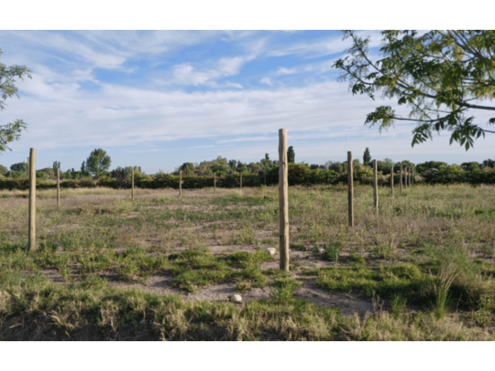 LOTE 517 M2 LOMAS DE CASCIA SAN RAFAEL MENDOZA - 1