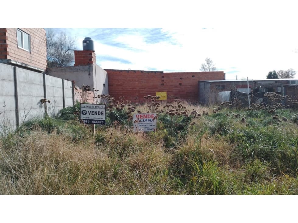 LOTE EN BARRIO BENITO MACHADO - 1